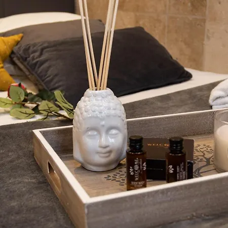 Apartment Sous Mon Toi Topdestination-dijon - Sauna & Jacuzzi - Classe 3 Etoiles *